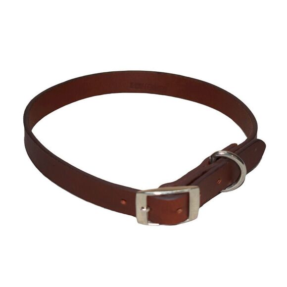 All-in-One Men's Genuine Leather Belt, Dog Collar, and Dog Leash Set - Picture 6 of 12
